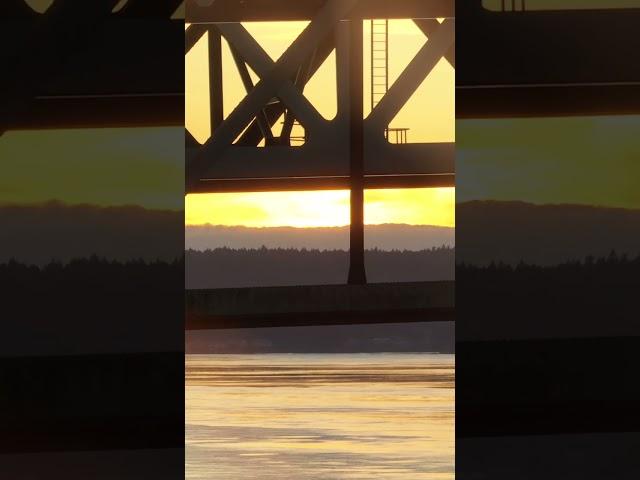 Tacoma Narrows Bridge #shorts