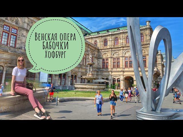 Венская Опера | Хофбург | Дом бабочек (Schmetterling Haus)| Hofburg Opera Vienna | #Авиамания