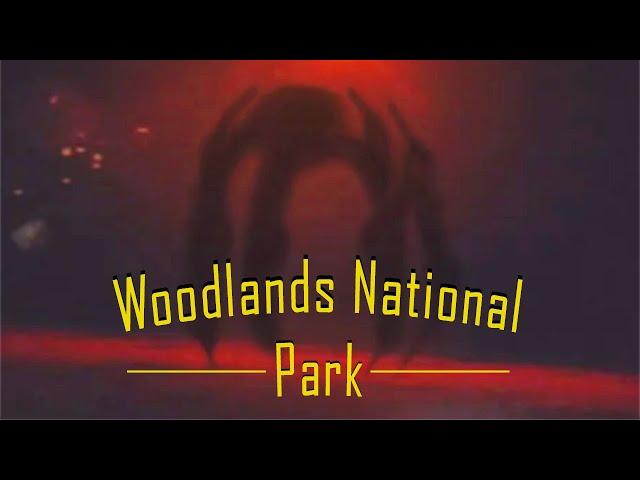 The Monsters in the Woods - Woodlands National Park Analog Horror