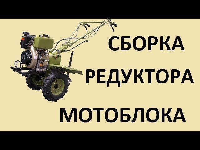 Сборка редуктора мотоблока