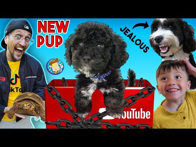 NEW PUPPY Surprise!  YOUTUBE Sent Us This BOX!! (FV Family Surprise Oreo's Brother Vlog)