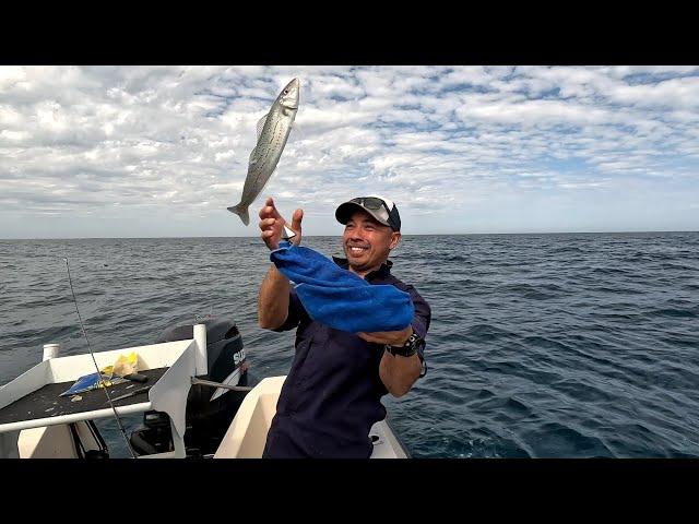 Unleash The Flying King George Whiting!