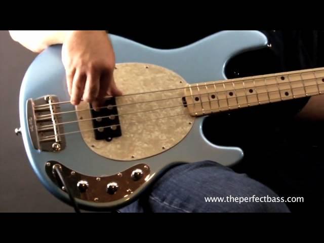 Music Man StingRay w/ Maple Fingerboard Demo - The Perfect Bass