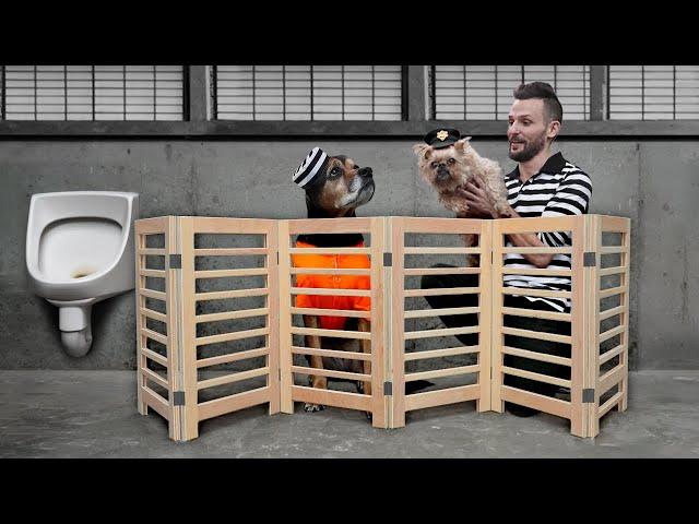 DIY Modern Retractable Dog Gate