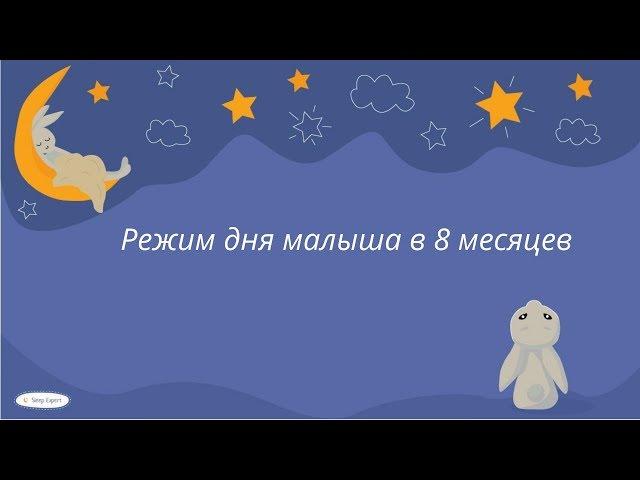 Режим дня малыша в 8 месяцев