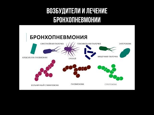 Возбудители и лечение бронхопневмонии #пневмония #бронхопневмония #инфекция #легкие