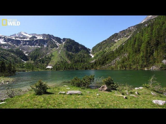 The natural beauty of the Hohe Tauern National Park at Austria - National Geographic Documentary