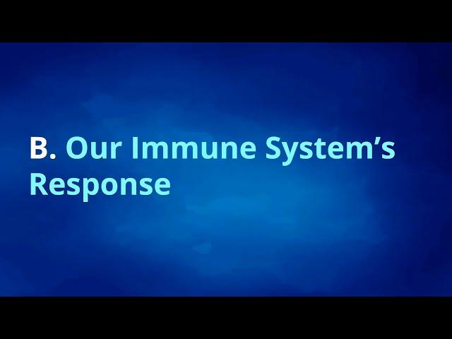 Cancer Immunotherapy DS Challenge - Lecture 1, Part  B - Biology - Our Immune System's Response