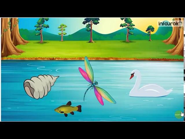Обитатели рек и водоемов