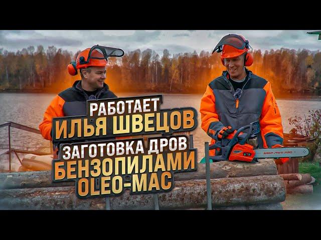 Тест бензопил Oleo Mac GSH 56 Easy Start и GS 371