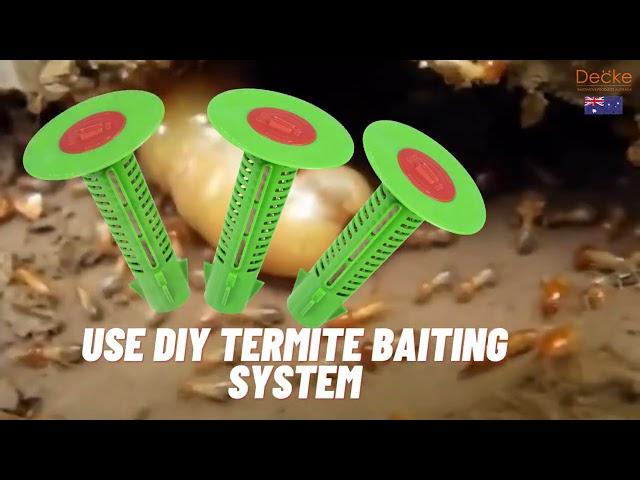 DIY Termite Queen Killer