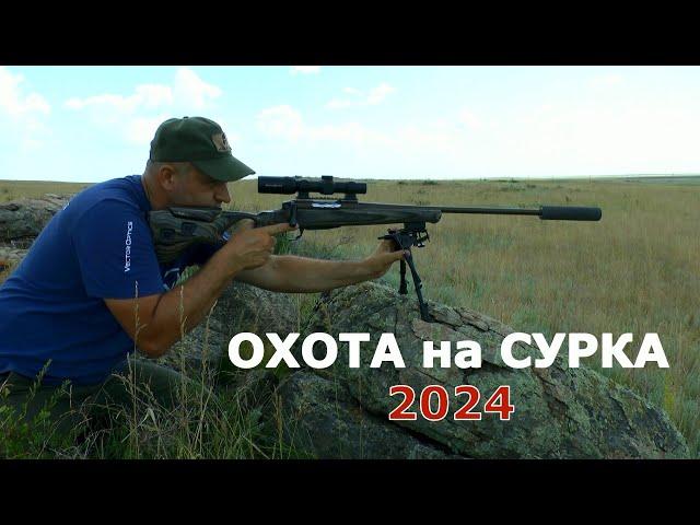 Охота на сурка 2024. Выстрелы в кадре! Замедленная съемка! Слабонервным не смотреть!!!