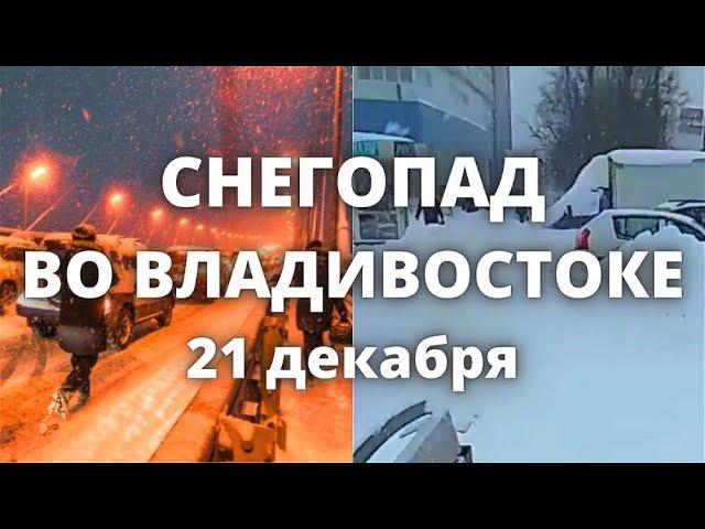 Во Владивостоке снегопад парализовал город, снег стал причиной многих проблем 21 декабря 2022