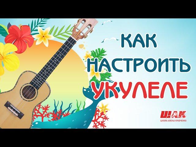 НАСТРОЙКА УКУЛЕЛЕ: Легко и Точно с Помощью Приложений. Что общего с гитарой.