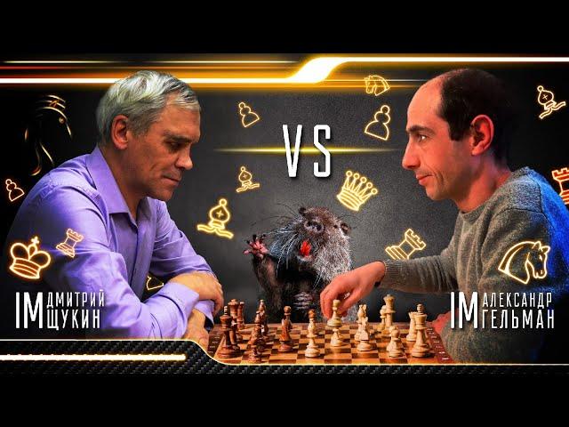 ТЕПЕРЬ НАМ ХРЕНОВО ЗДЕСЬ! // IM АЛЕКСАНДР ГЕЛЬМАН vs IM ДМИТРИЙ ЩУКИН // ПАРТИЯ № 2
