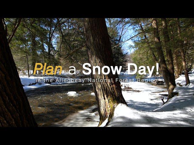 Snow Day! Winter Fun in the Allegheny Nation Forest Region