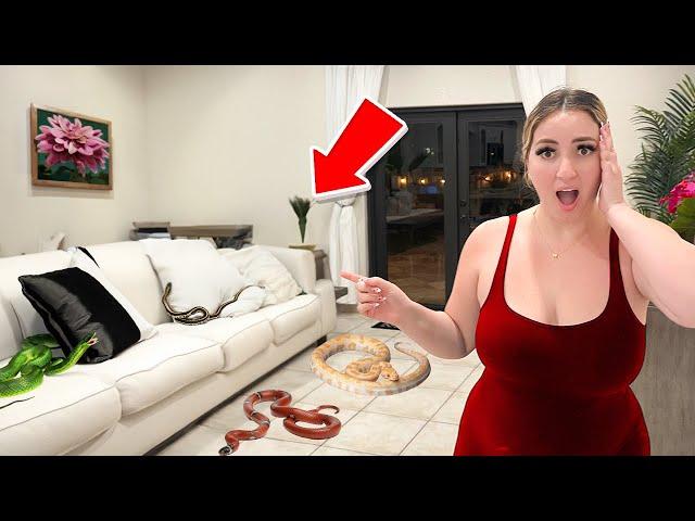 I Found SNAKES In My HOUSE!!