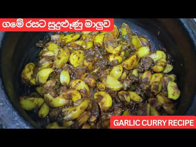 සුදුළුෑණු මාලුව ගෑවුනු තැන කන්න පුළුවන් |Garlic Curry Recipe | Garlic Gravy | Garlic  (Eng Sub)