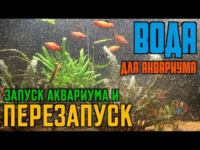 Вода для аквариума | Перезапуск аквариума | Запуск аквариума