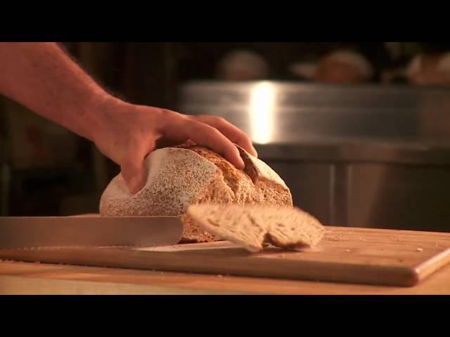 Introducing Miche: Wegmans New French Country Bread