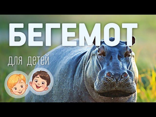 Бегемот. Видео про животных для детей 3+