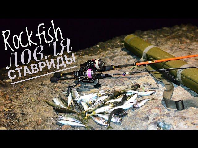 Морская рыбалка.Ловля ставриды, Черноморск. Rockfish.