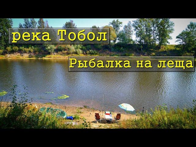 Рыбалка на фидер и донку на реке Тобол / Лещь на донку / Судак на нарезку /