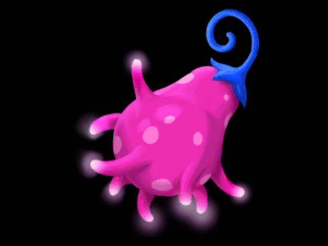 The Witch of Fern Island  - 5 Astra Fruit Locations  +50  Max Energy