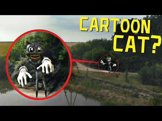 ВЫ НЕ ПОВЕРИТЕ МОЙ ДРОН СНЯЛ РЕАЛЬНОГО CARTOON CAT *он существует*