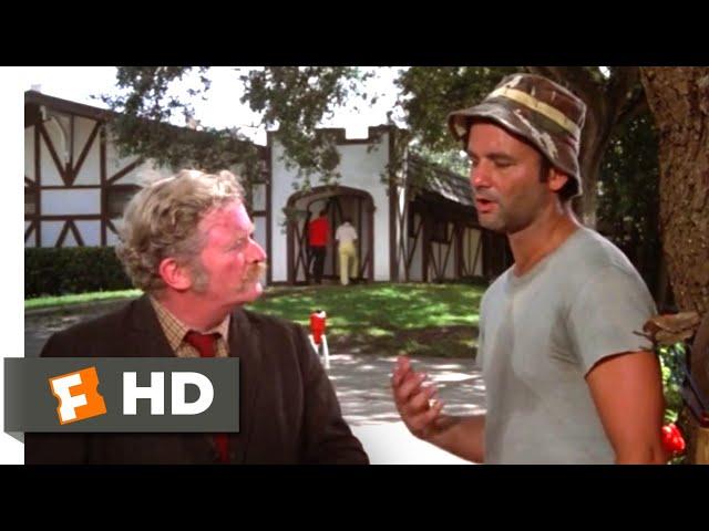 Caddyshack (1980) - Kill Every Gopher Scene (2/9) | Movieclips