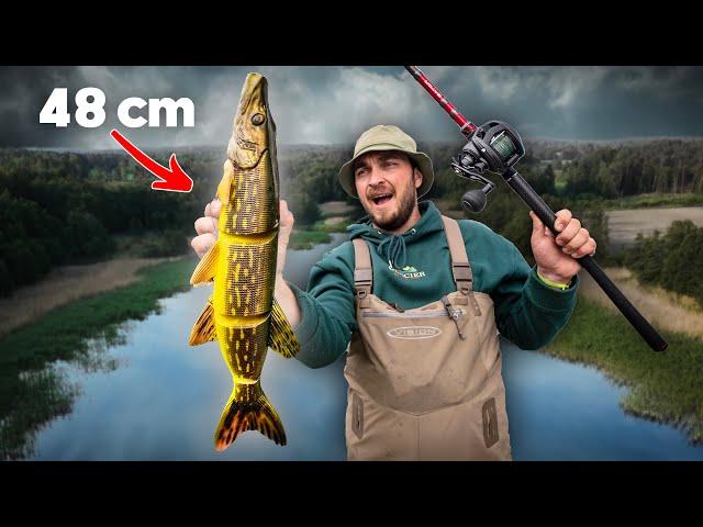 Trying GIANT Swimbaits (48 cm) for Cannibal Pike!!! 