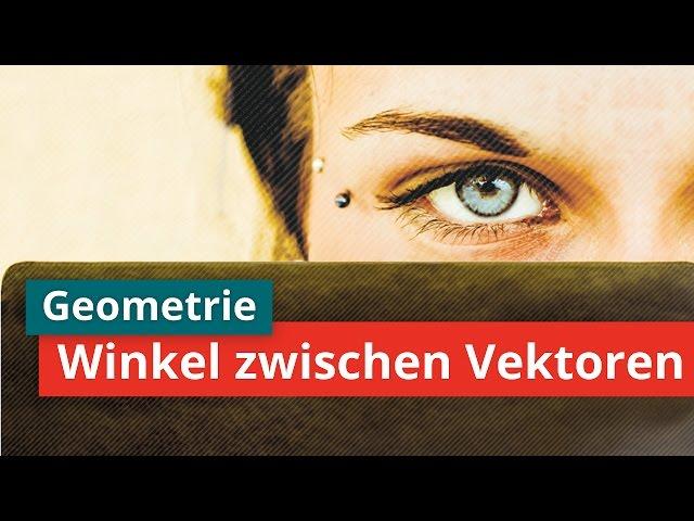 Winkel zwischen zwei Vektoren berechnen | Grundlagen der Vektorrechnung