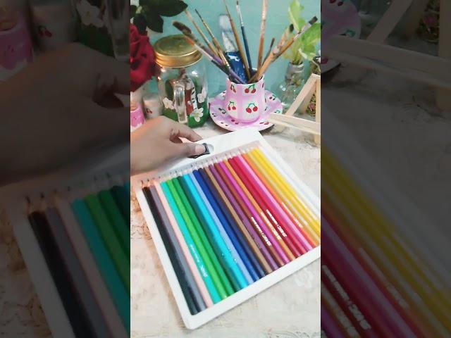 Unboxing Doms 24 shades coloured pencils #shorts #viralvideo #ART