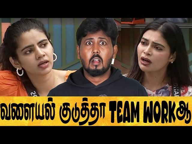  உண்மையாவே இப்படித்தானா இல்ல நடிக்குறாங்களா   Biggboss Season 8 Day 19 Review  Shafi Zone S