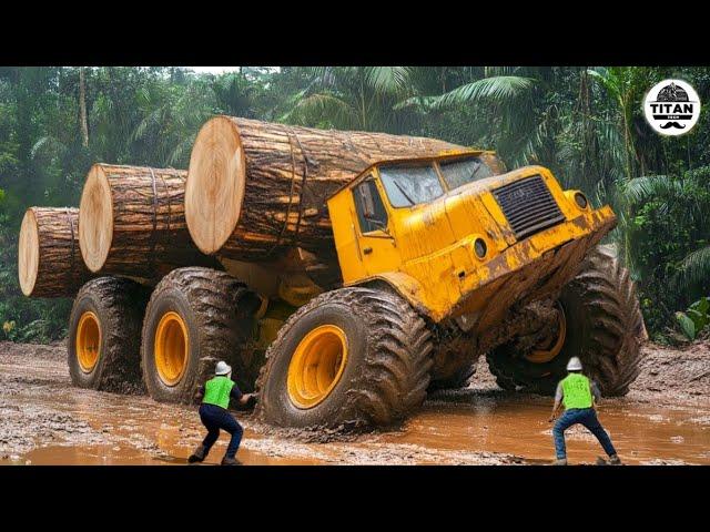 Amazing Fastest Big Tree Cutting Machines | Dangerous Tree Harvester Stump Destroy Machines #43