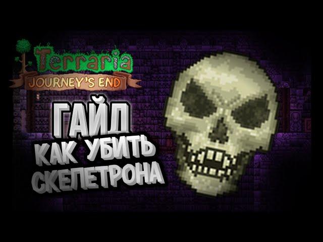 КАК УБИТЬ СКЕЛЕТРОНА В ТЕРАРРИИ ЭКСПЕРТ/МАСТЕР МОД