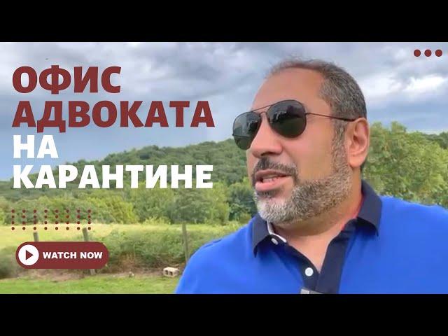 Как адвокаты в США работают удаленно? Мой домашний офис на карантине. Исмаил Шахтахтинский