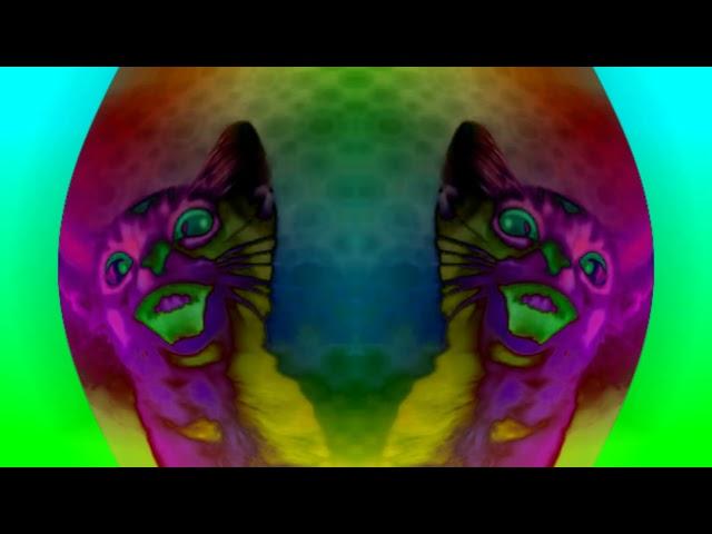 Requested: Preview 2 Numa cat effects (sponsored by preview 2 effects) in zoopals effect v3