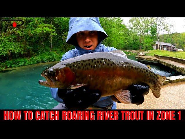 How To Catch Roaring River Trout Zone 1