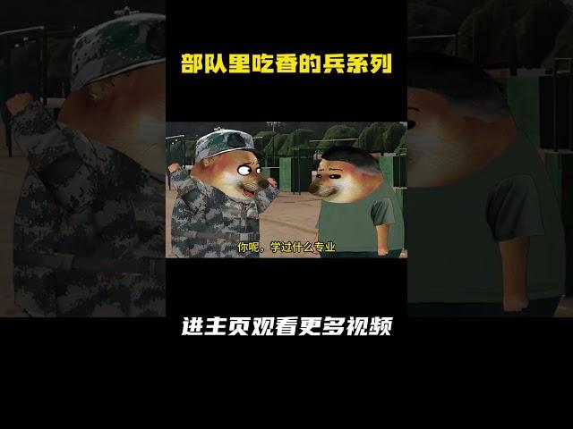 部队里吃香的兵系列 #动画 #军旅 #兵哥哥 #cheems小剧场