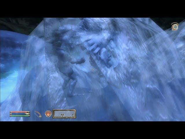 TES IV Oblivion #63 Слезы спасителя