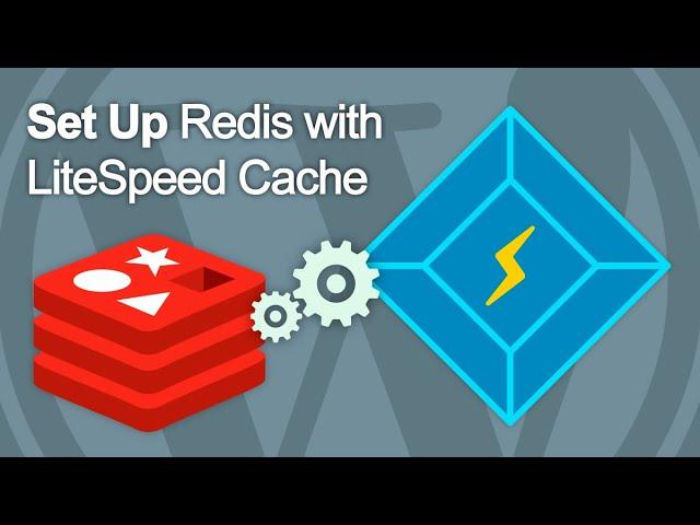 How to set up Redis with LiteSpeed Cache