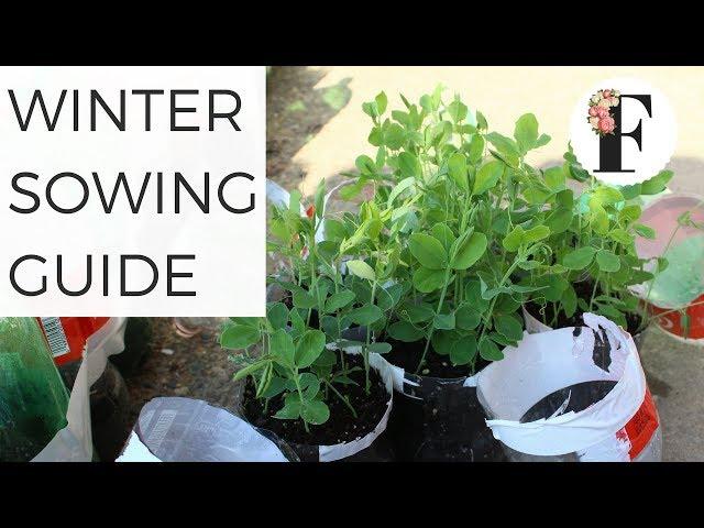 Winter Sowing Guide for Beginners - EASY SEED STARTING for the Garden