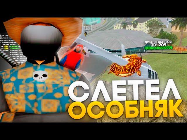 СЛЕТЕЛ ОСОБНЯК на ВАЙН-ВУДЕ *ТАРЕЛКА* / ЛОВЛЯ ДОМОВ на ARIZONA RP