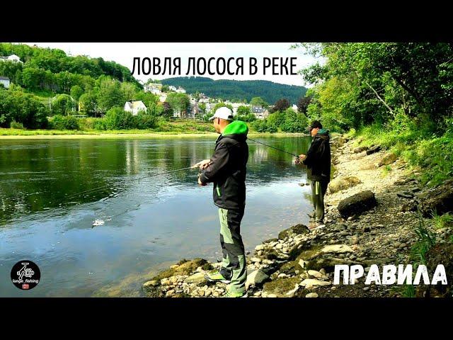 ЛОСОСЬ И ФОРЕЛЬ. ПРАВИЛА ловли в РЕКАХ НОРВЕГИИ. Рыбалка в Норвегии в пресной воде. Рыбалка в реках.