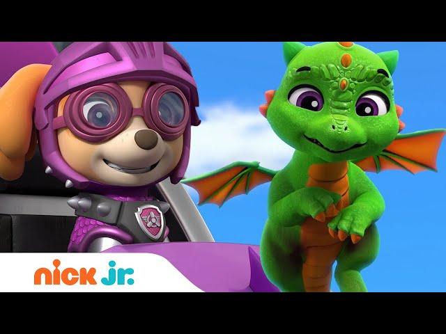 PAW Patrol Rescue Knights Get Help From Baby Dragons!  | Nick Jr.