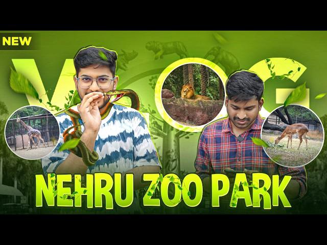 Munna Bhai Trying Non-Veg Breakfast At Hotel Nayab  Hyd Day-3 Vlog 2024