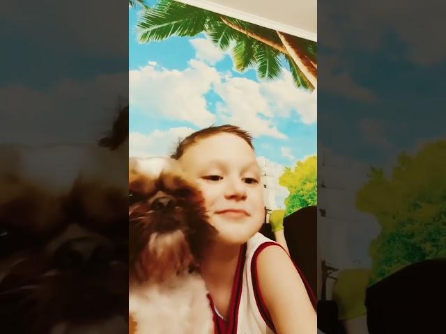 собака не хочет гулять #рекомендации #shortsvideo #мойканал #funny
