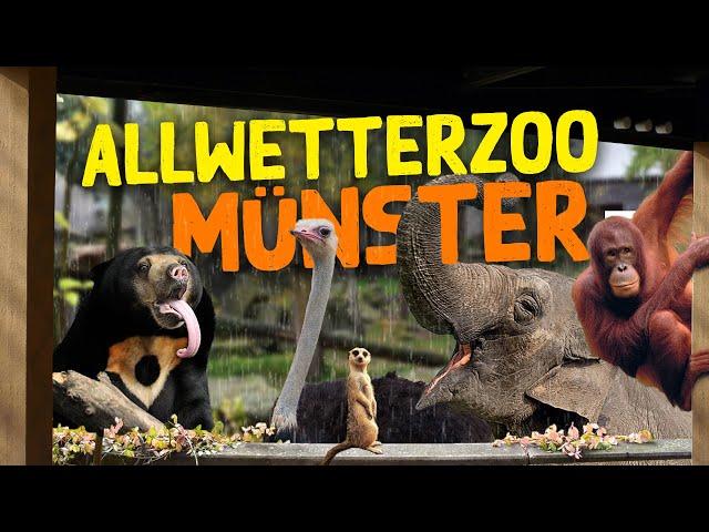 Allwetterzoo Münster | Zoo-Eindruck