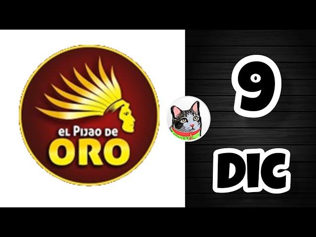 Resultado EL PIJAO DE ORO Lunes 9 de Diciembre de 2024